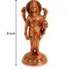 Dhanvantari Copper 2