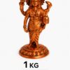 Dhanvantari Copper 3