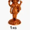 Dhanvantari Copper 3