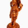 Dhanvantari Copper 6