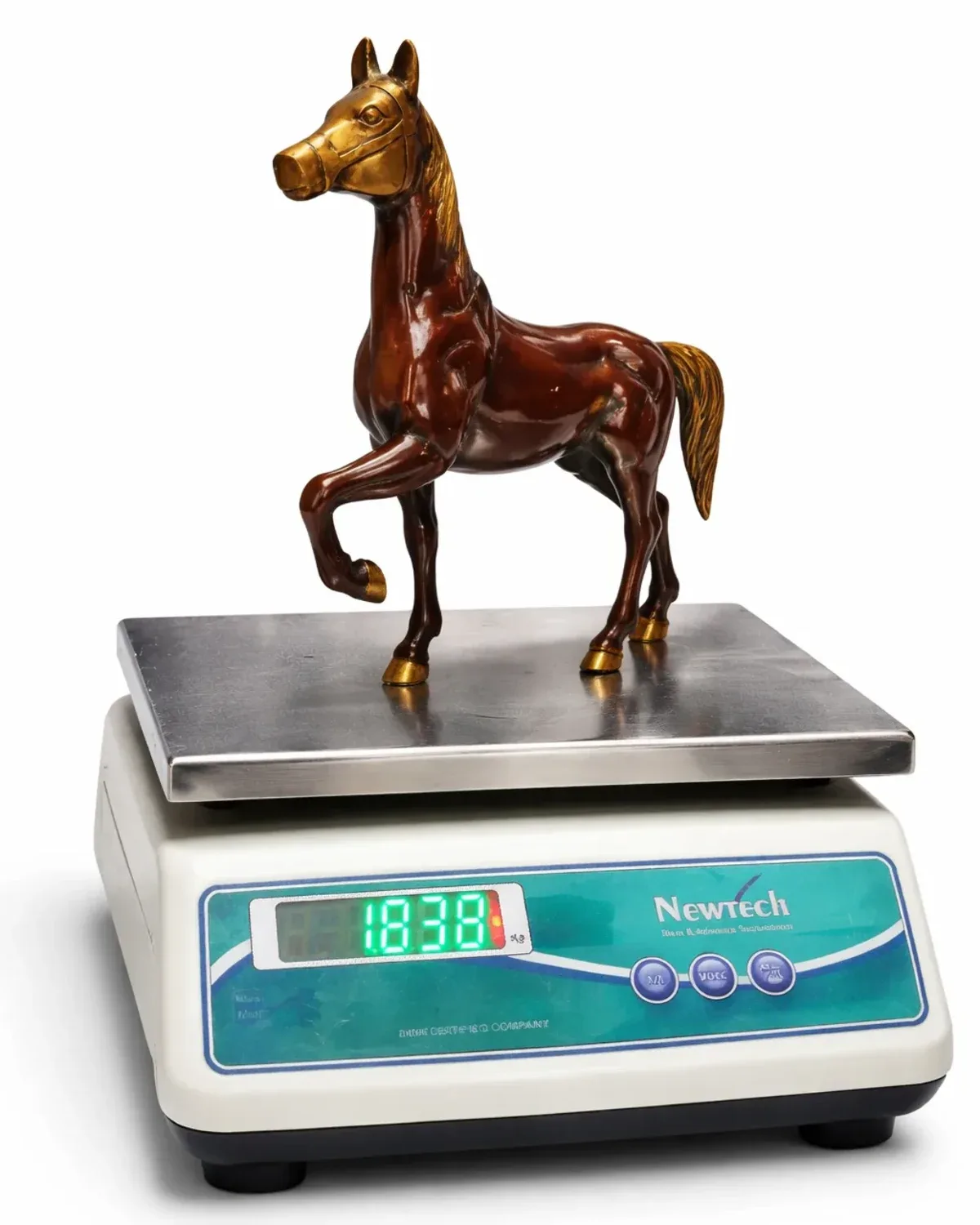 RUNNING HORSE 6 RUNNING HORSE - Image 6