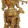 Krishna 20" 5