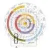 Course on Barchart & Map Grid 2