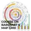 Course on Barchart & Map Grid 1