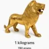Lion For Power 1.8kg 6