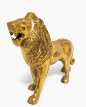 LION OF POWER