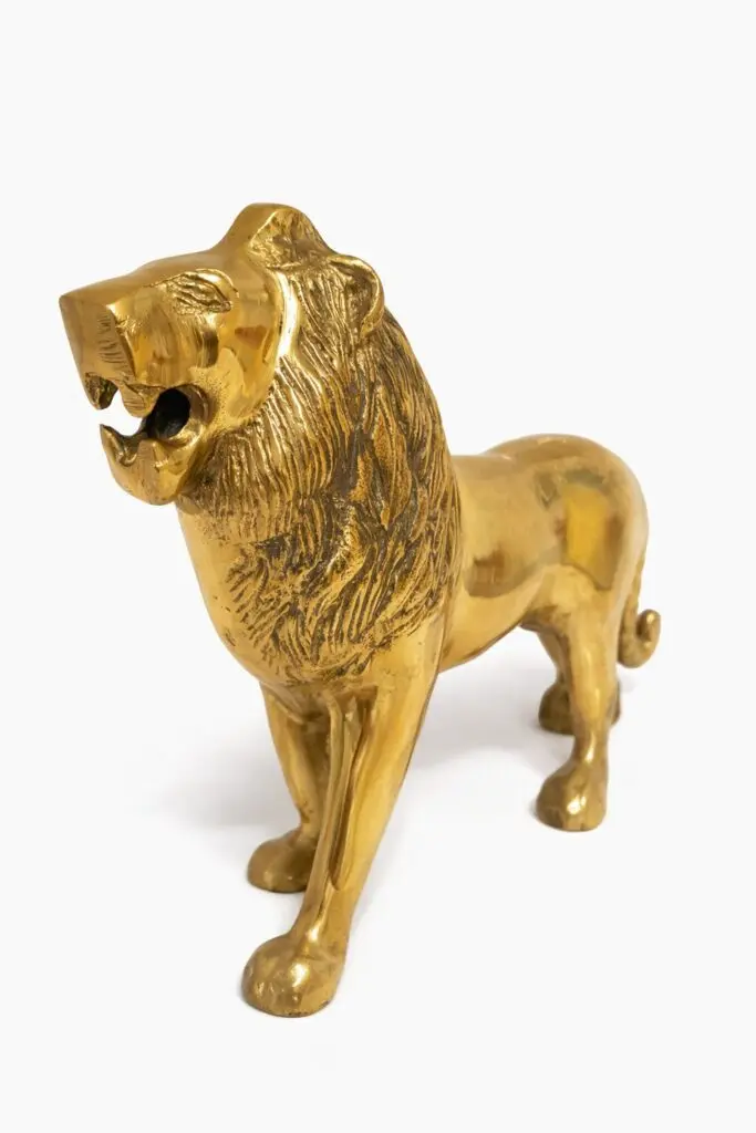Lion For Power 1.8kg
