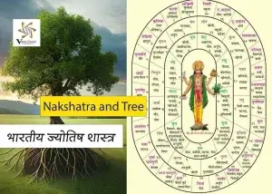 नक्षत्रों और वृक्षों का संबंध