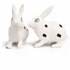 Rabbit Pair (Khargosh Jodi) Vastu Idol 4