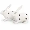 Rabbit Pair (Khargosh Jodi) Vastu Idol 5