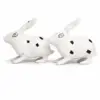 Rabbit Pair (Khargosh Jodi) Vastu Idol 6