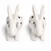 Rabbit Pair (Khargosh Jodi) Vastu Idol 7