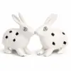 Rabbit Pair (Khargosh Jodi) Vastu Idol 3
