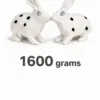 Rabbit Pair (Khargosh Jodi) Vastu Idol 2