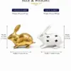 Rabbit Pair (Khargosh Jodi) Vastu Idol 1