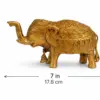 Royal Brass Elephant Idol — Ornate Hand-Engraved Trunk-Up Vastu Symbol for Wisdom, Prosperity, Obstacle Removal & Royal Aishvarya 6