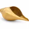 Brass Shankh (Vastu Shankh / Conch) 6