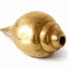 Brass Shankh (Vastu Shankh / Conch) 5