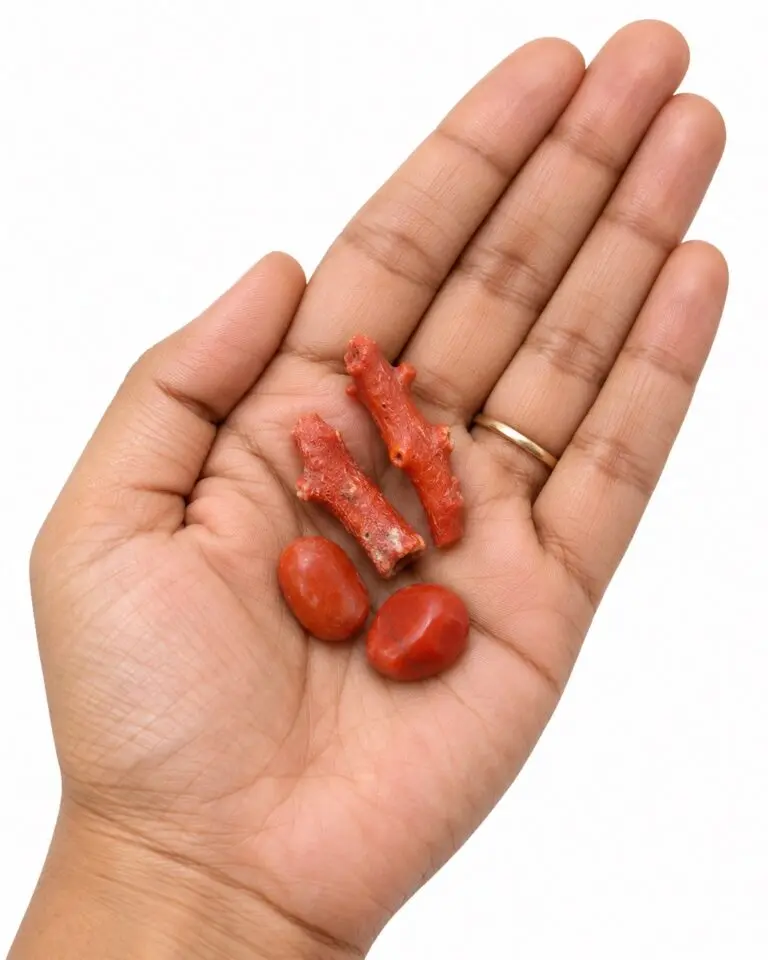 Moonga (Red Coral) Stone for Mars – Energised Vastu Remedy for Home