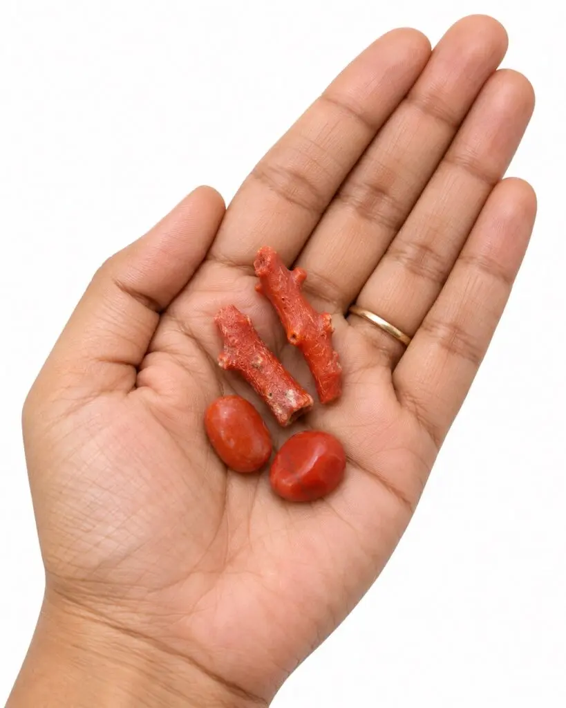 Moonga (Red Coral) Stone for Mars – Energised Vastu Remedy for Home